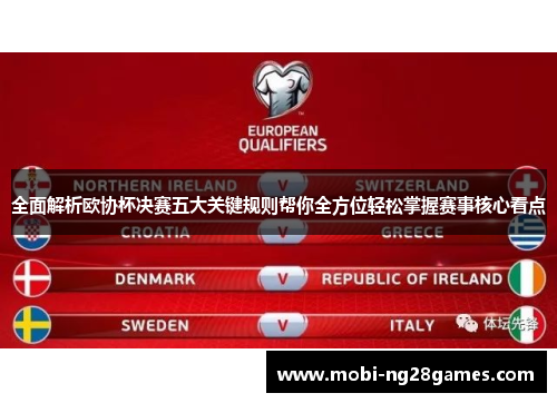 全面解析欧协杯决赛五大关键规则帮你全方位轻松掌握赛事核心看点