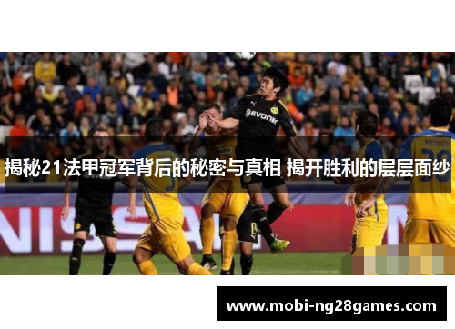 揭秘21法甲冠军背后的秘密与真相 揭开胜利的层层面纱